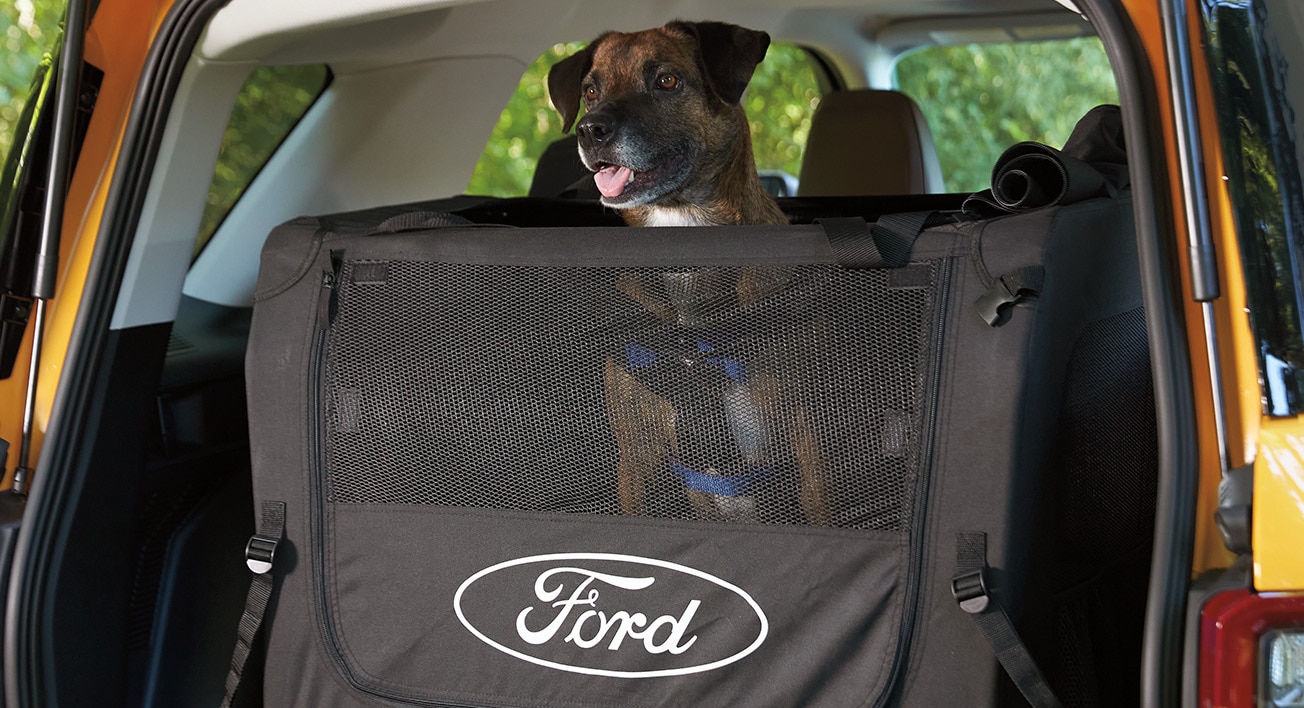 A dog sitting in a Ford pet kennel accessory in the hatch of a vehicle.  