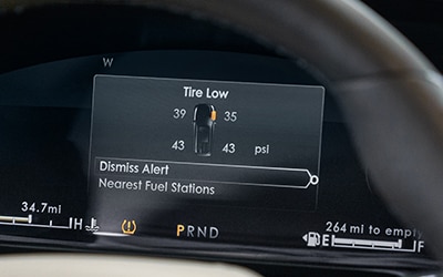 Tire Pressure Monitor display panel